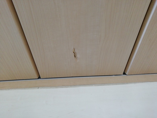 熊本市中央区でクローゼット扉穴傷を補修しました。サムネイル
