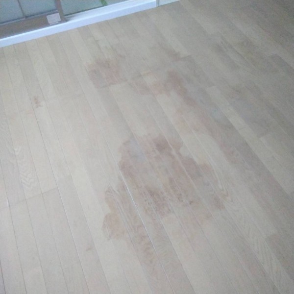 熊本市西区で床シミ補修を行いましたサムネイル